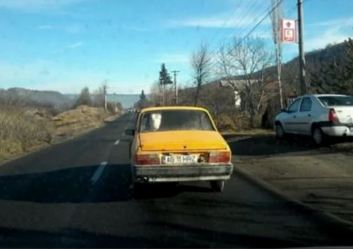 
    Uite ce pasager inedit!  