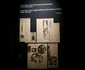 Expo Brâncuși la Timișoara FOTO Ștefan Both