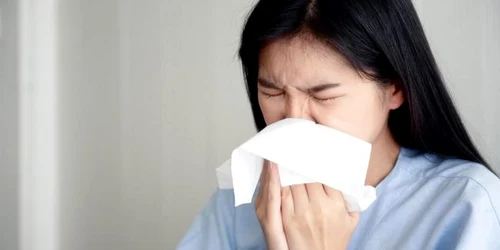 coronavirus foto who