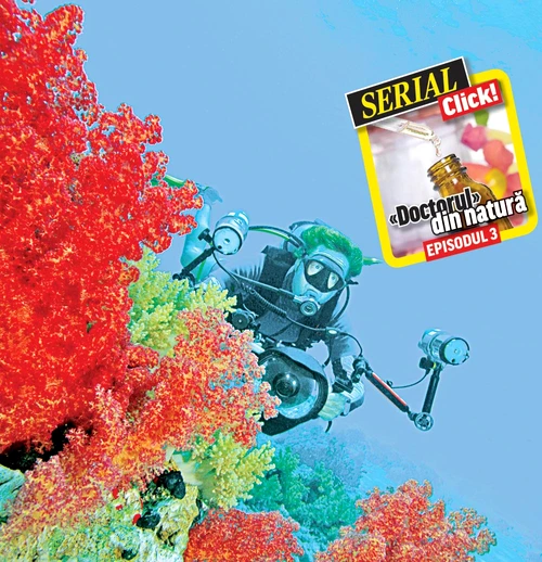 Coral