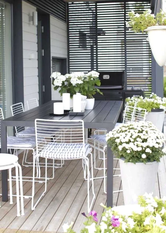 Cele mai frumoase flori de balcon