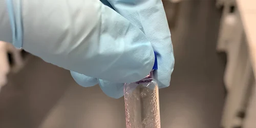 HIDROGEL FOTO phy org jpg