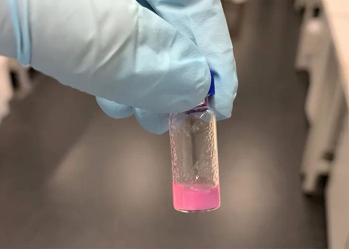 Materialul se comportă ca un ţesut natural. FOTO UNSW Sydney / phys.org