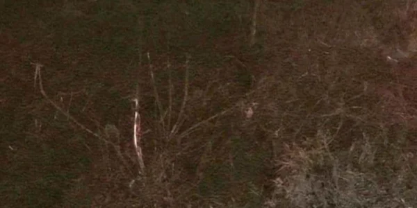 slobozia accident cu 3 raniti la Sinesti FOTO IPJ Ialomita