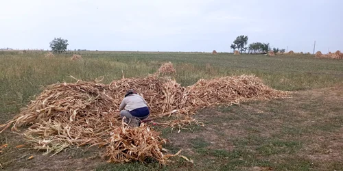 WhatsApp Image 2024 09 22 at 15 42 17 (1) jpeg