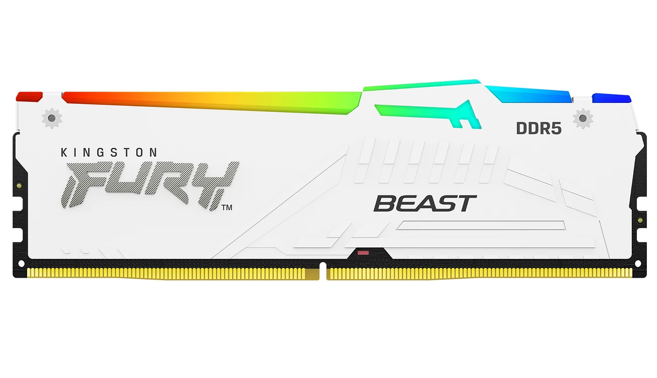 Kingston FURY Beast.