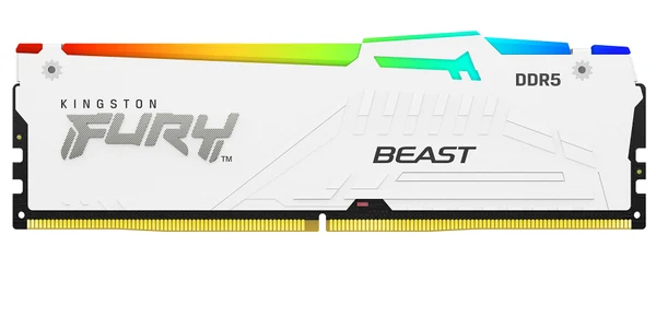 KF Beast DDR5 RGB White HS jpg