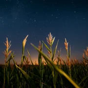 cer stele planete FOTO Shutterstock