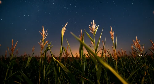 cer stele planete FOTO Shutterstock