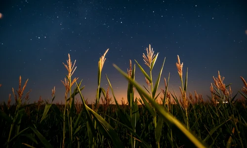 cer stele planete FOTO Shutterstock