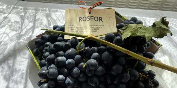 rosfor premiul I fermier ion paunel   foto fb ion paunel2 jpg