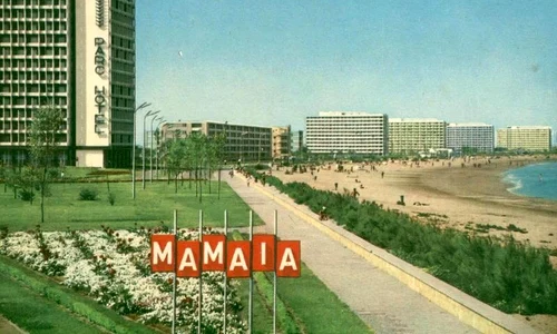 504286339 9881532885227217 1606953014410259096 n jpg