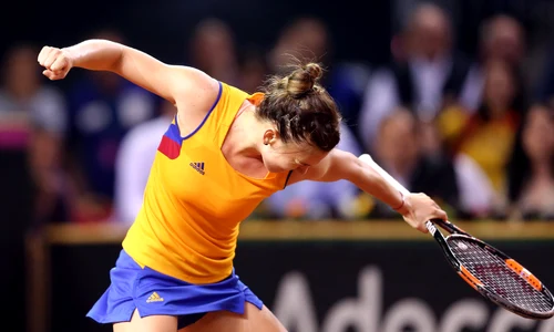 tenis halep petkovci fedcup romania germania 93 sport pictures jpeg