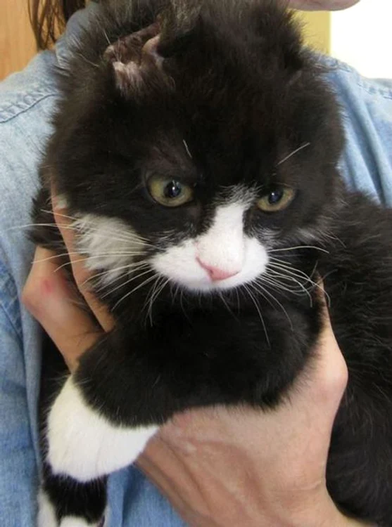 Justin (FOTO CATERS)