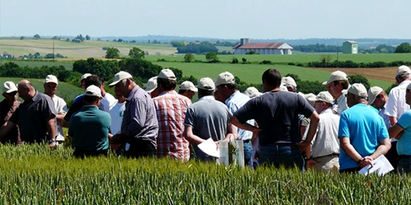 cooperative agricole