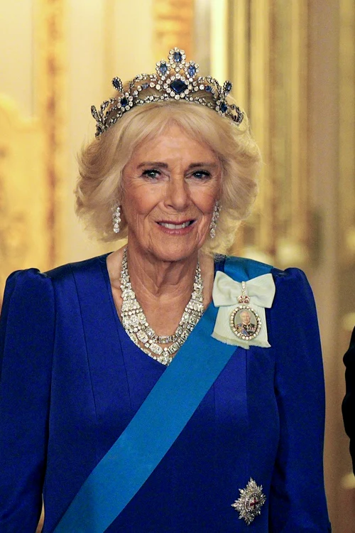 Regina Camilla foto profimedia (2) jpg