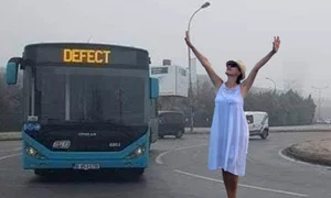 gabriela firea3 jpeg