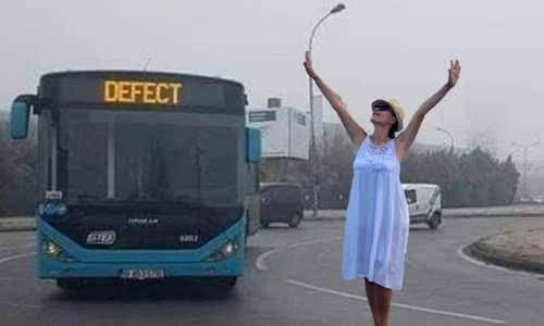 gabriela firea3 jpeg