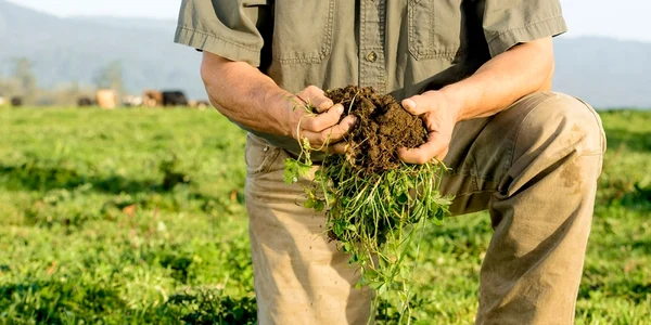 agricultura regenerativa