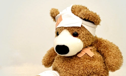 1 teddy teddy bear association ill 42230 jpg jpeg