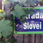 Strada Slovei jpeg