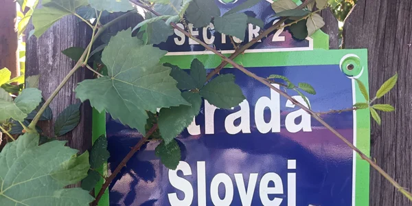Strada Slovei jpeg