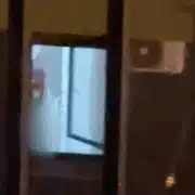 masturbator oradea gif gif