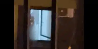 masturbator oradea gif gif