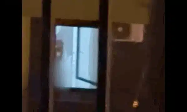 masturbator oradea gif gif