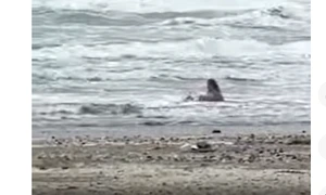 femeie in mare iarna captura antena 3 png