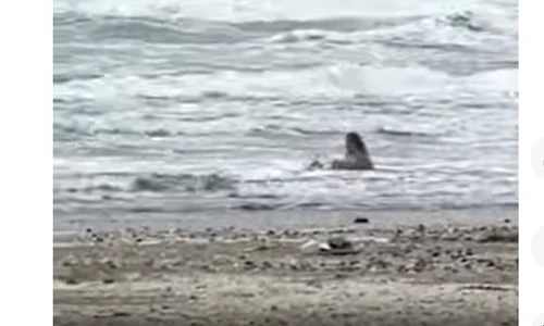 femeie in mare iarna captura antena 3 png