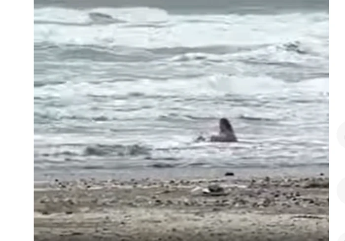 Femeia a ignorat temperatura și a intrat în apă. FOTO captură Antena 3