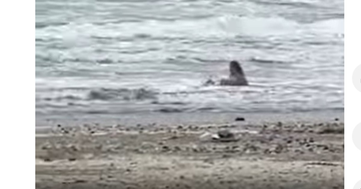 Femeie face baie în mare la Mamaia, 8 grade afară