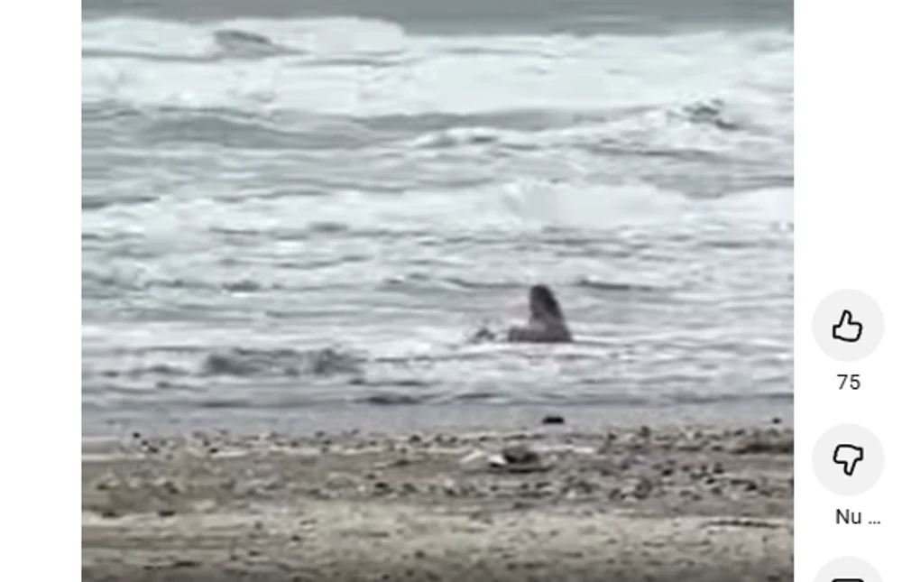 Femeie filmată în mare, la Mamaia, deși termometrele indicau doar 8 grade. Turista a făcut și plajă