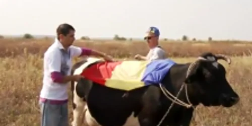 Captură video