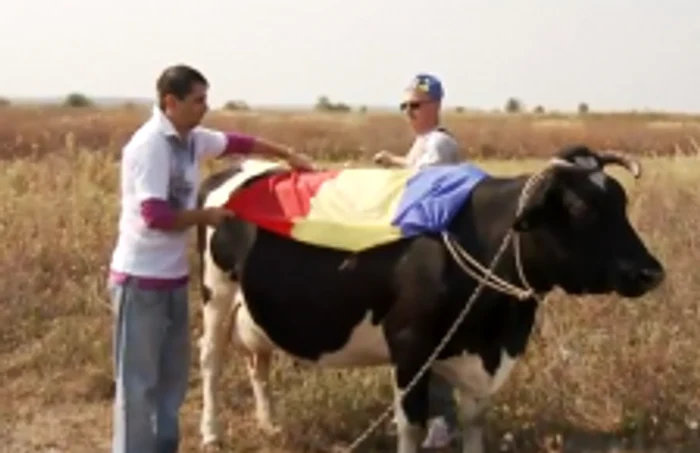 Captură video