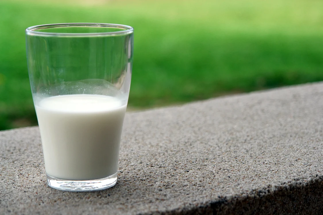 
    Nutriționiștii consideră că, în tratarea diferitelor boli, este benefic laptele de capră în comparație cu alte tipuri de laptefoto: Pixabay  