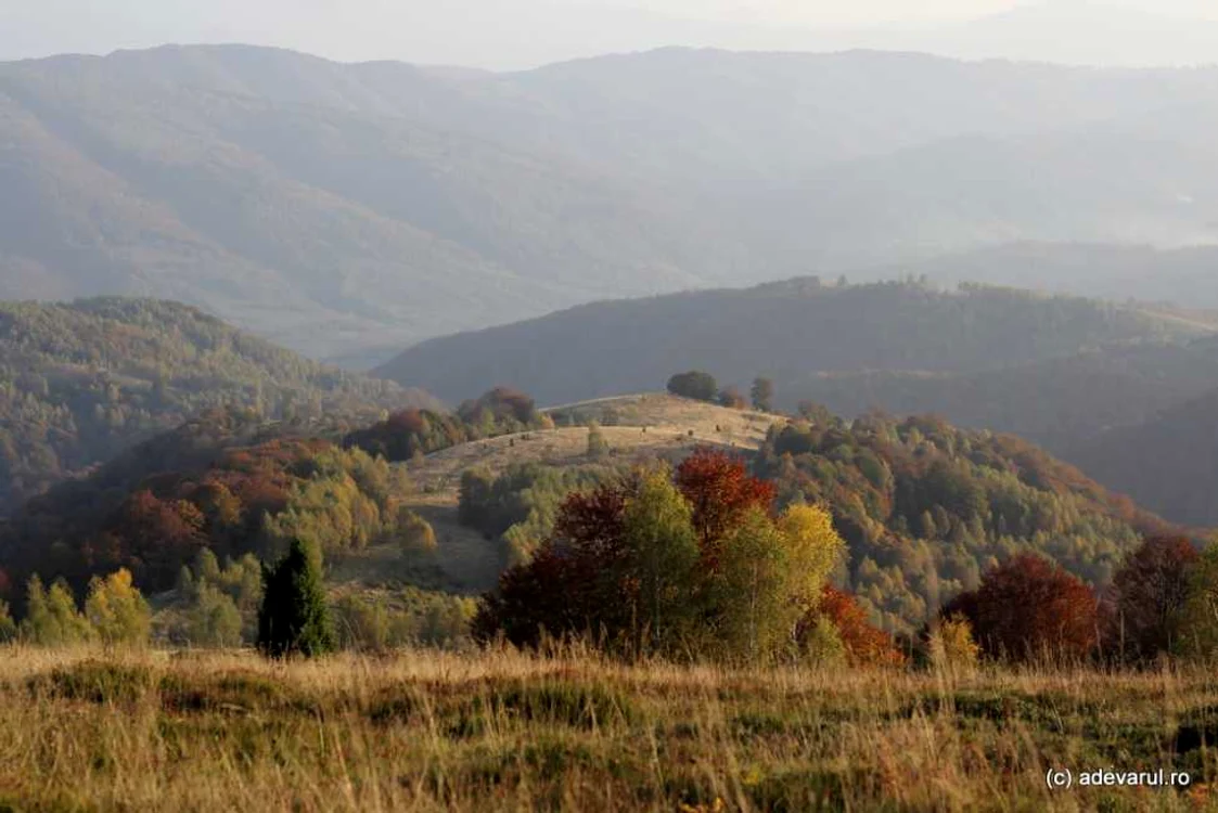 Ţinutul Pădurenilor. Drumul spre Vadu Dobrii. FOTO