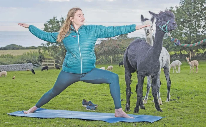 
    Marian Godină şi Pablo, alpaca  