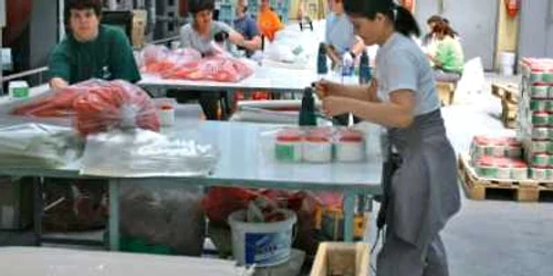 Liniile noi de producţie s-au dovedit a fi absolut inutile în noul context economic din anul 2009  