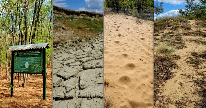 Dunele de nisip unice în România de la Hanu Conachi, judeţul Galaţi FOTO Marian Sava