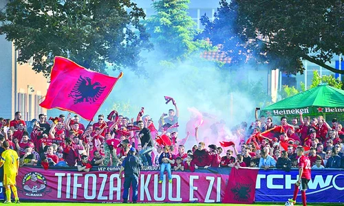 Ciprian Marica s a zbătut  mult contra Albaniei, dar  n a avut realizări notabile (fotografii: Mediafax) jpeg