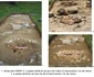 ronica Cercetărilor Arheologice din România Campania 2006 la sarmizegetusa regia