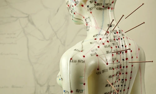 1 shutterstock 744541216 jpg jpeg