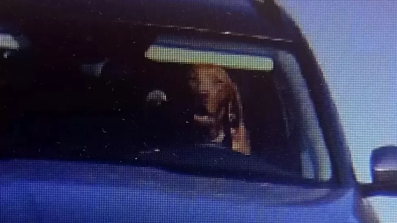 Momentul în care camera de supraveghere surprinde câinele la volan FOTO Poliția din Slovacia