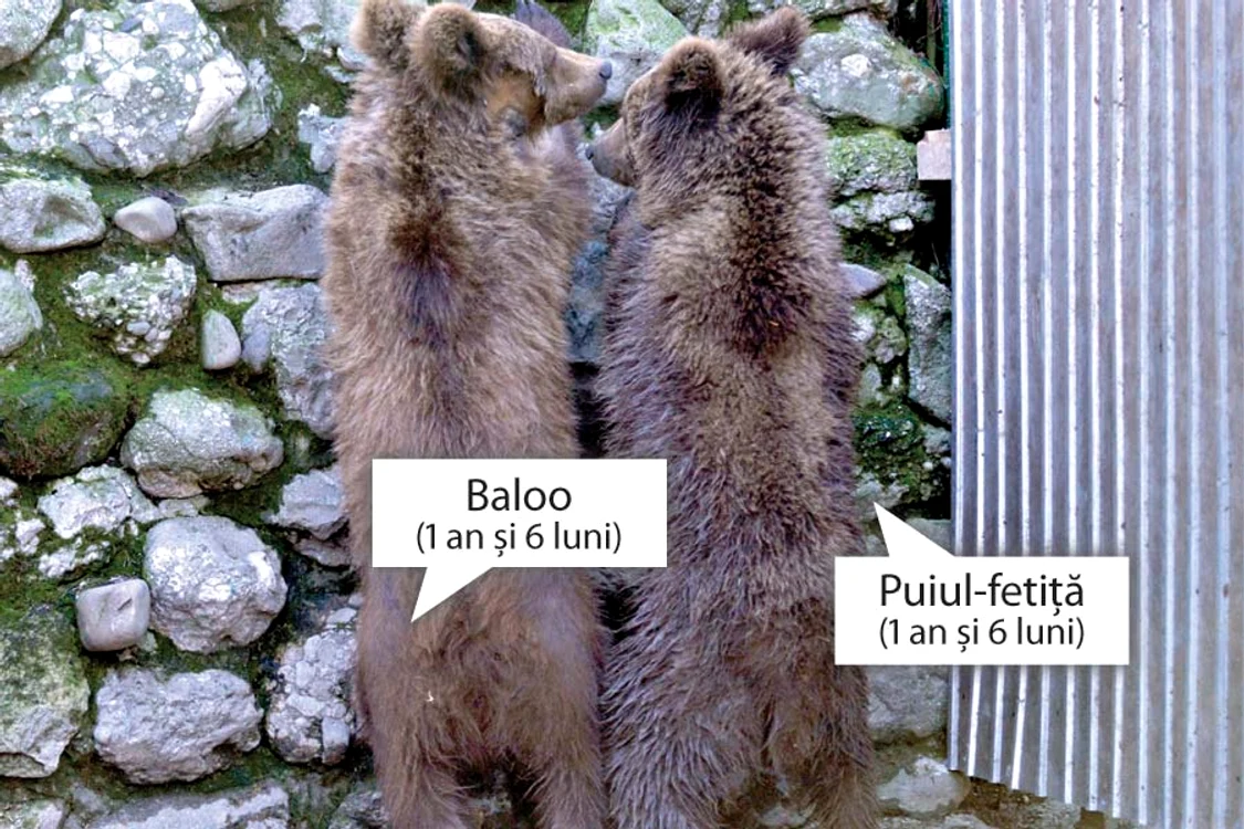 Prima zi departe de cuştile «Cămătarilor»