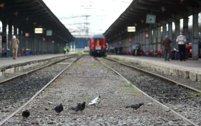 Victima s-a aruncat în faţa trenului FOTO Adevărul