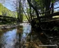 Satul Negoiu din Lunca Cernii de Jos, Hunedoara, Foto Daniel Guță, ADEVĂRUL (27) jpg