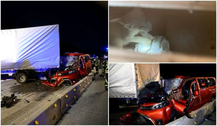 
    Foto: observatornews.ro  