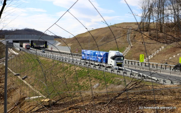 Ecoduct la Holdea. Foto: Daniel Guţă. ADEVĂRUL